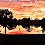 Landscape Series
