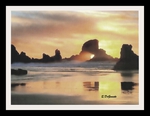 Landscape Series