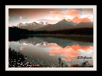 Landscape Series