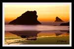 Landscape Series